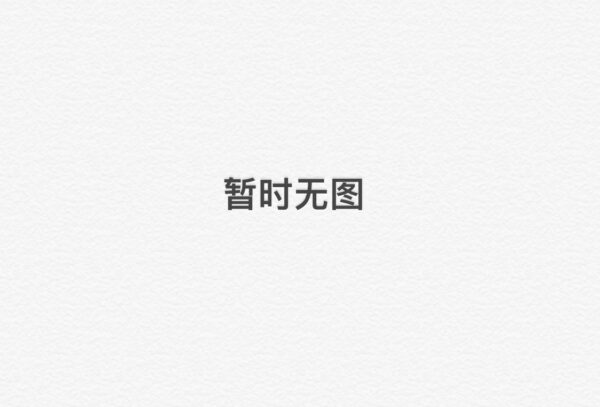 龙井茶酥 6块